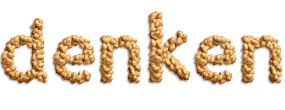 denken denken