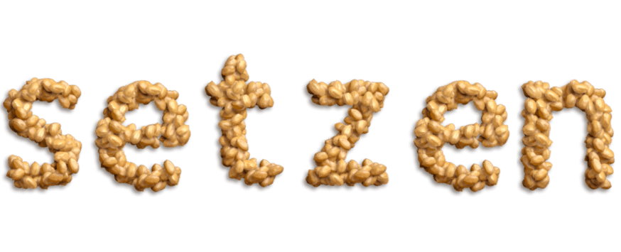 setzen setzen